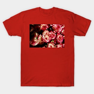 Roses red & white T-Shirt